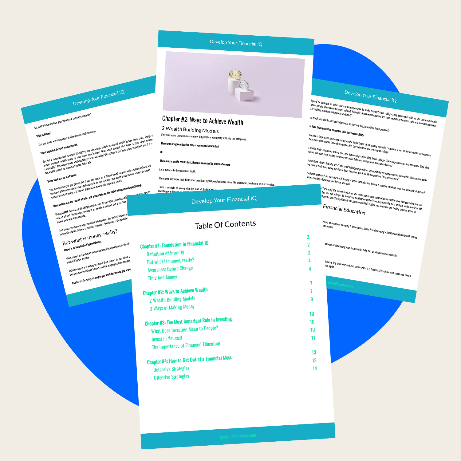 Develop Your Financial IQ eBook | Control All Finances